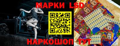 МДПВ Канаш