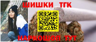 сатива Кандалакша