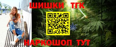 сатива Кандалакша