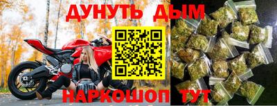 сатива Кандалакша