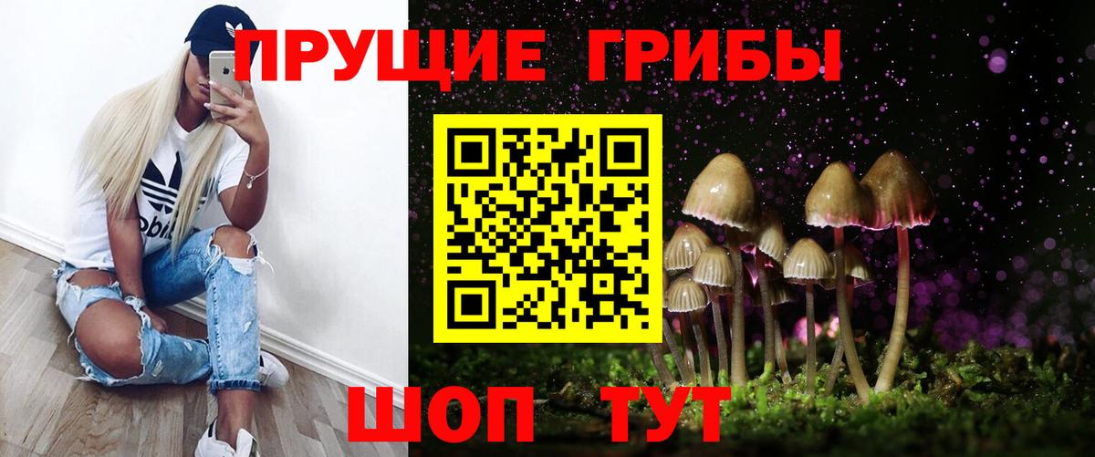 Курчатов  Галлюциногенные грибы Psilocybine cubensis  Псилоцибиновые грибы прущие грибы  Вход с VPN 